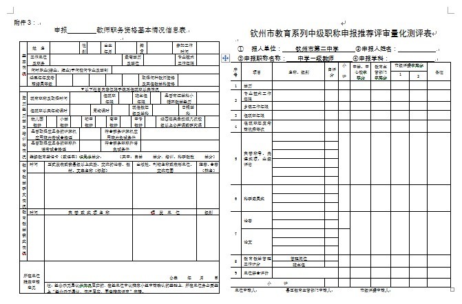 A3表（信息表+计分表）申报中学一级专用