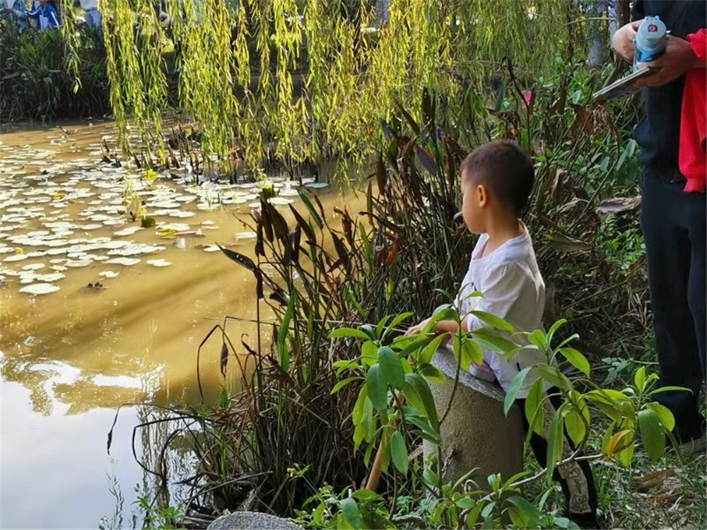 “其乐融融游瑶塘，鳍鳞腹腴知第一”——2019年宝威体育（中国）集团有限公司教育集团荷花池开塘节